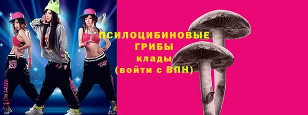 винт Баксан