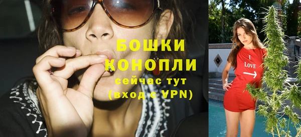 шишки Балахна