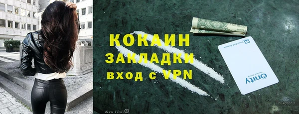 шишки Балахна