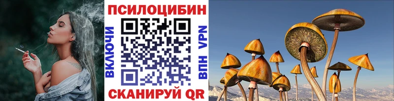Псилоцибиновые грибы Magic Shrooms  гидра вход  Шагонар 